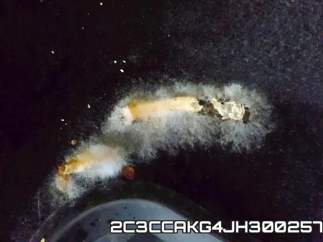 2C3CCAKG4JH300257_9.webp