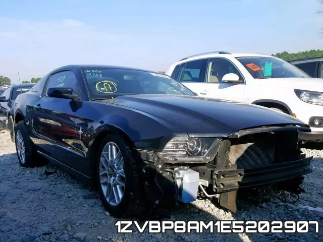 1ZVBP8AM1E5202907