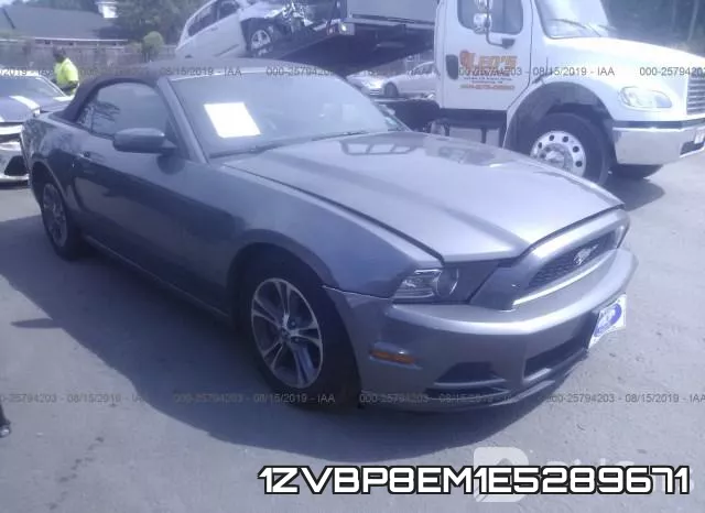 1ZVBP8EM1E5289671