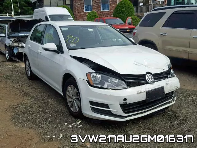 3VW217AU2GM016317