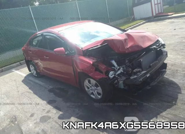 KNAFK4A6XG5568958