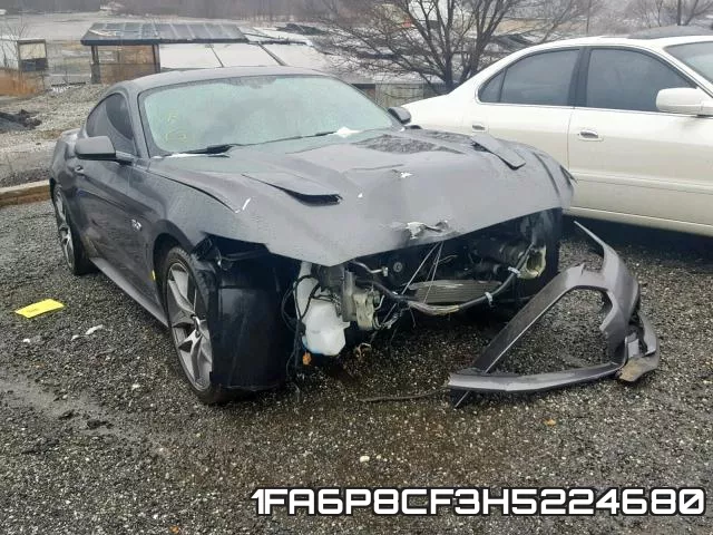 1FA6P8CF3H5224680_1.webp