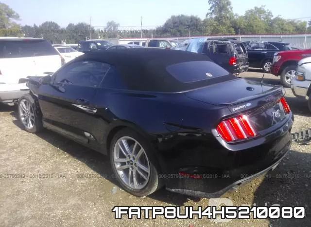 1FATP8UH4H5210080_3.webp