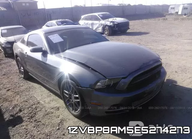 1ZVBP8AM5E5274273