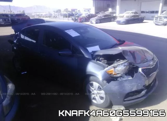 KNAFK4A60G5599166