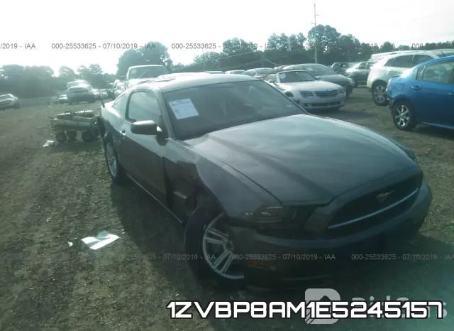 1ZVBP8AM1E5245157