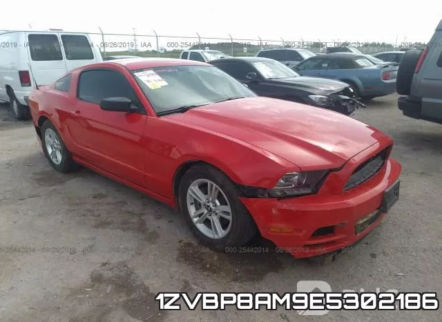 1ZVBP8AM9E5302186