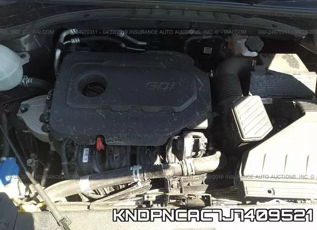 KNDPNCAC7J7409521_10.webp