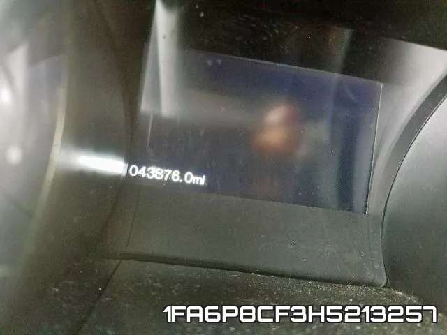 1FA6P8CF3H5213257_8.webp