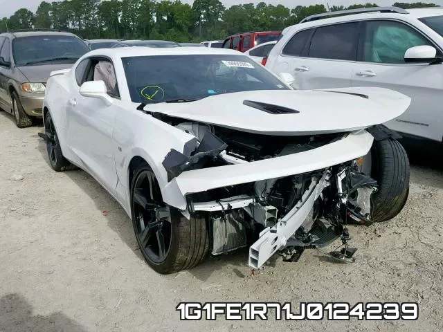 1G1FE1R71J0124239