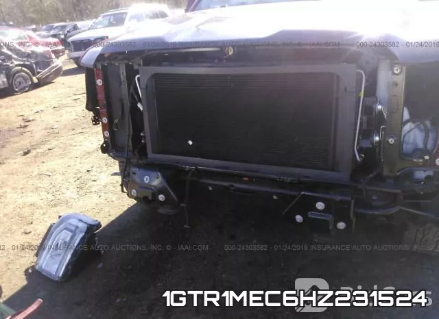 1GTR1MEC6HZ231524_6.webp