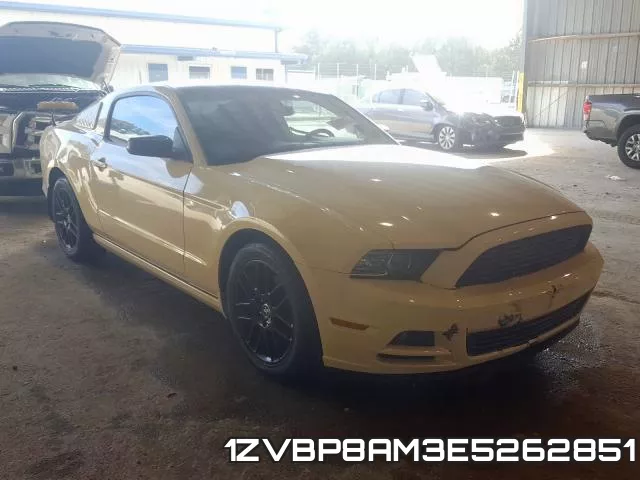 1ZVBP8AM3E5262851