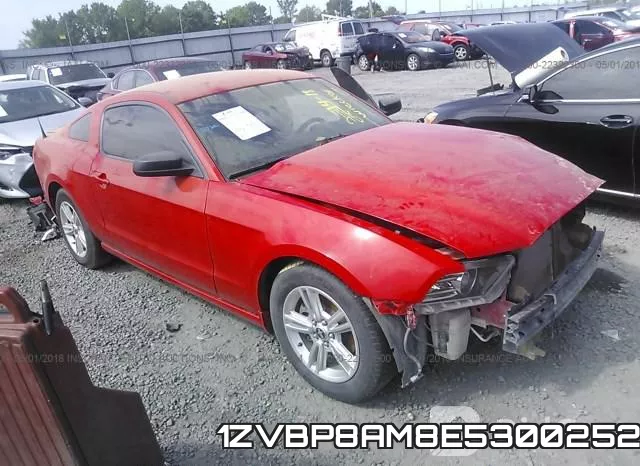 1ZVBP8AM8E5300252