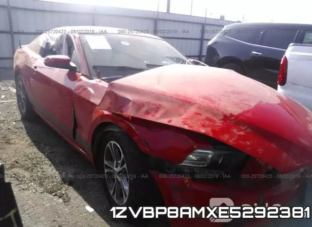 1ZVBP8AMXE5292381
