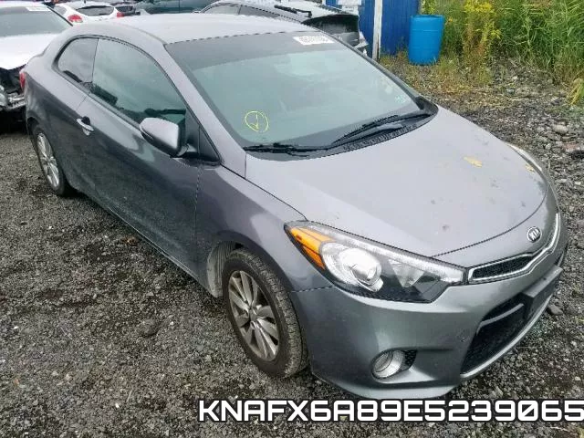 KNAFX6A89E5239065