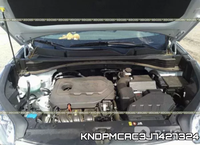 KNDPMCAC3J7427324_10.webp