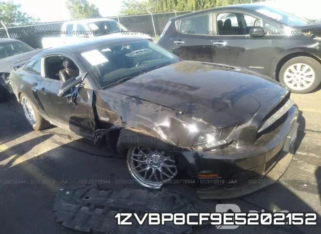 1ZVBP8CF9E5202152