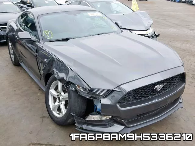 1FA6P8AM9H5336210_1.webp