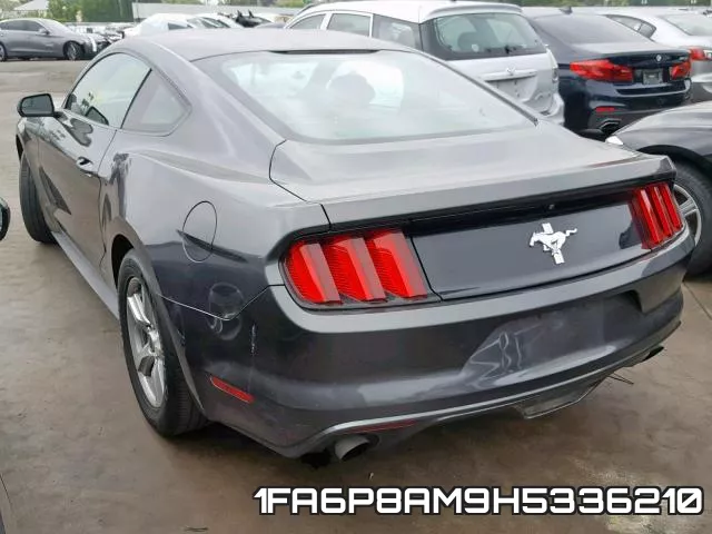 1FA6P8AM9H5336210_3.webp