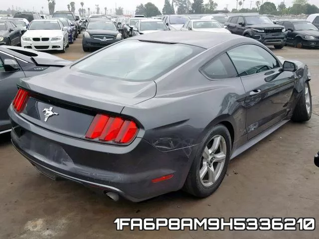 1FA6P8AM9H5336210_4.webp