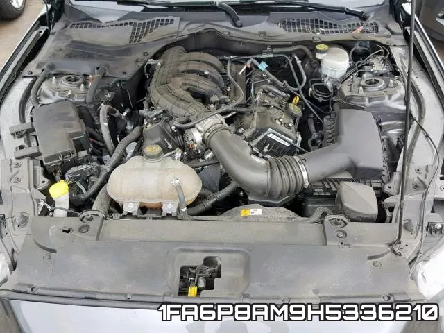 1FA6P8AM9H5336210_7.webp
