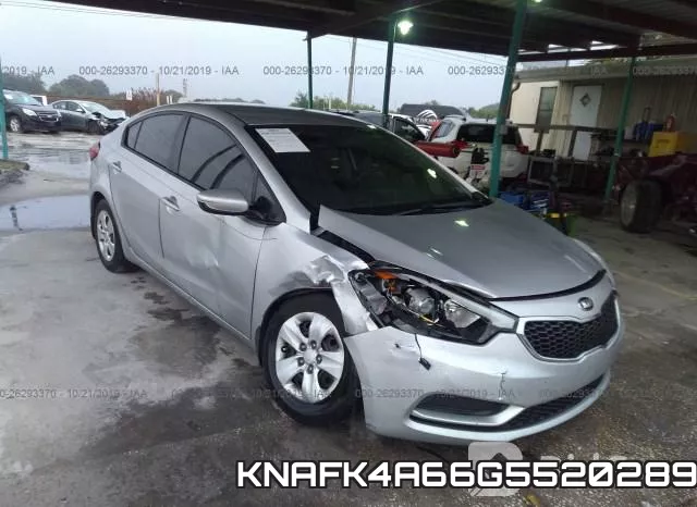 KNAFK4A66G5520289