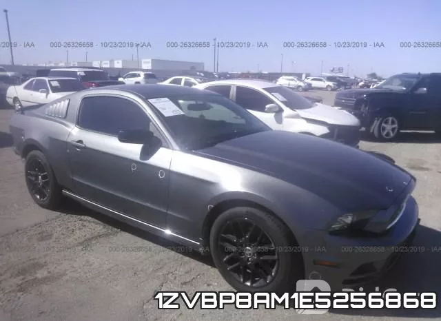 1ZVBP8AM1E5256868
