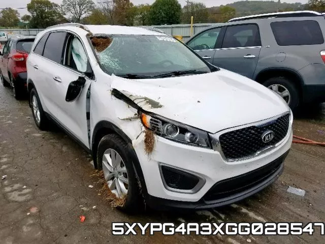 5XYPG4A3XGG028547