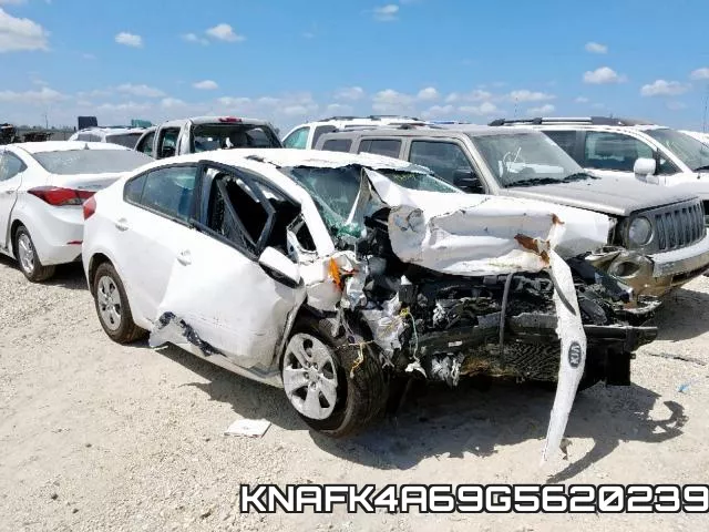 KNAFK4A69G5620239