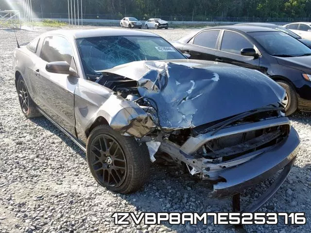1ZVBP8AM7E5253716