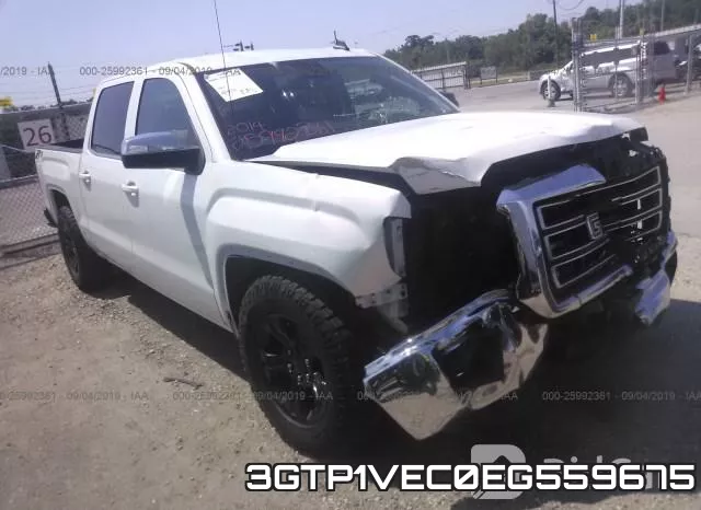 3GTP1VEC0EG559675