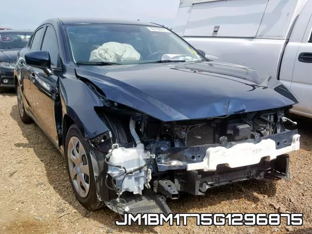 JM1BM1T75G1296875