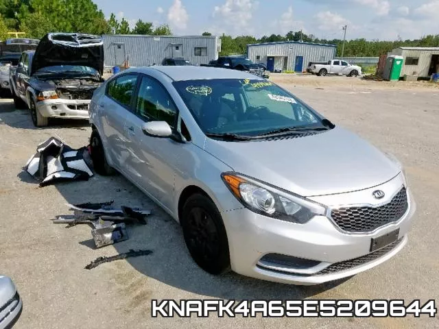 KNAFK4A65E5209644