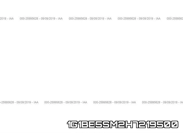1G1BE5SM2H7219500_10.webp
