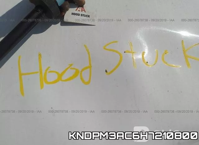 KNDPM3AC6H7210800_10.webp