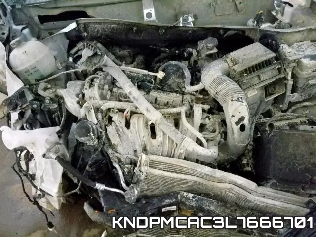 KNDPMCAC3L7666701_7.webp