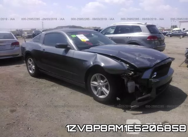 1ZVBP8AM1E5206858