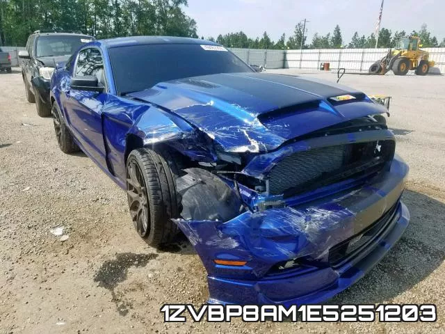 1ZVBP8AM1E5251203