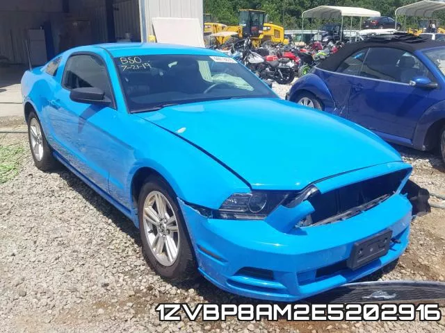1ZVBP8AM2E5202916