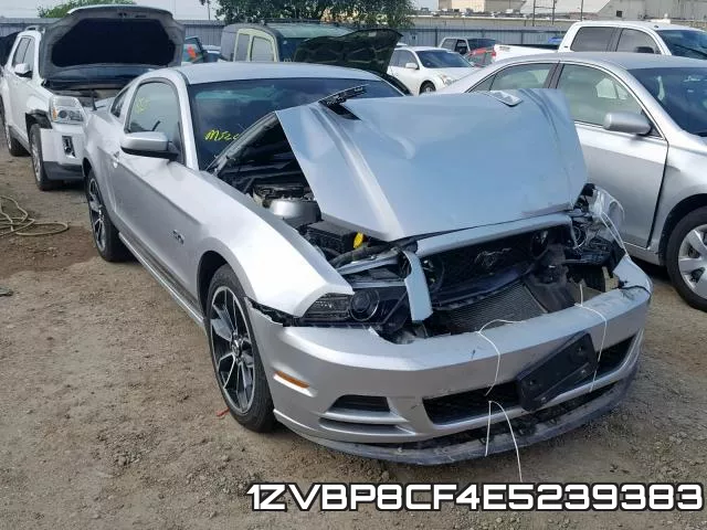 1ZVBP8CF4E5239383