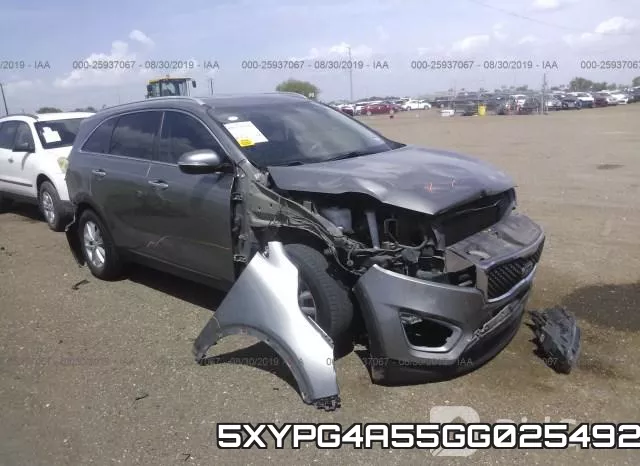 5XYPG4A55GG025492
