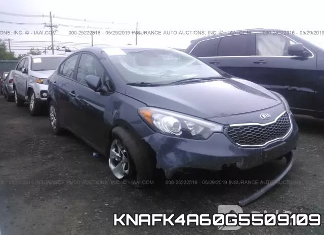 KNAFK4A60G5509109