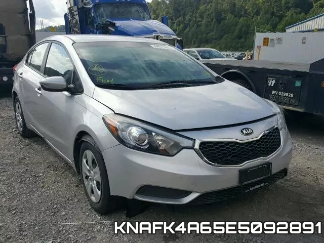 KNAFK4A65E5092891