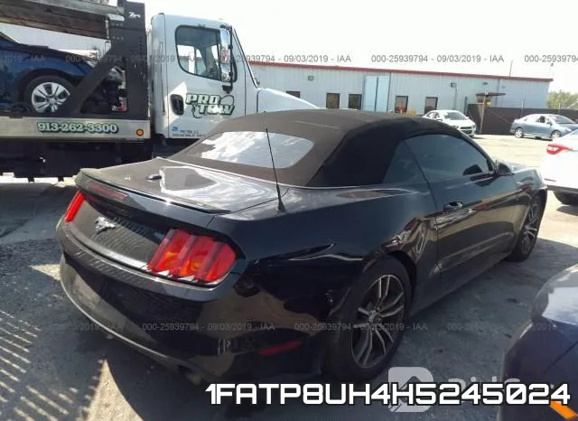 1FATP8UH4H5245024_4.webp