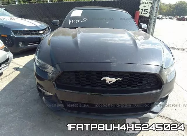1FATP8UH4H5245024_6.webp