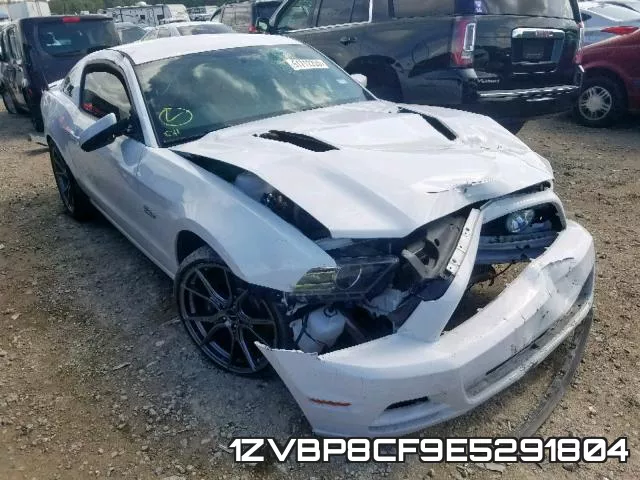 1ZVBP8CF9E5291804
