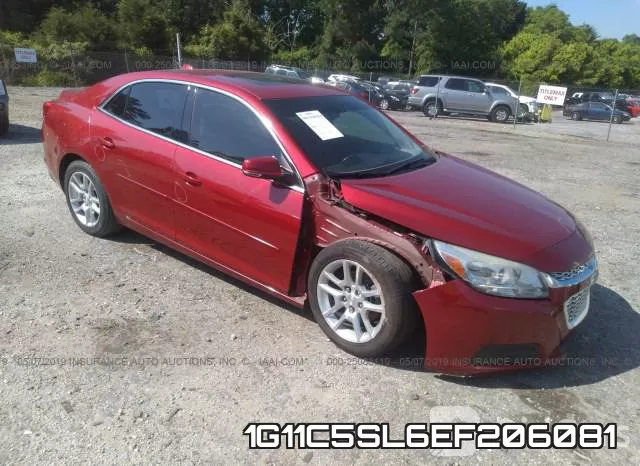 1G11C5SL6EF206081