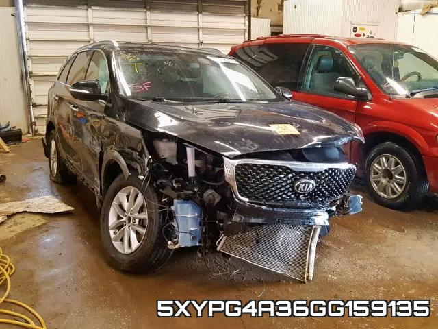 5XYPG4A36GG159135