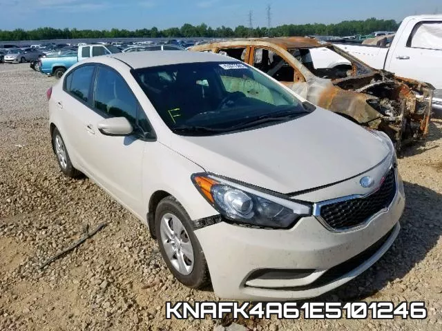 KNAFK4A61E5101246