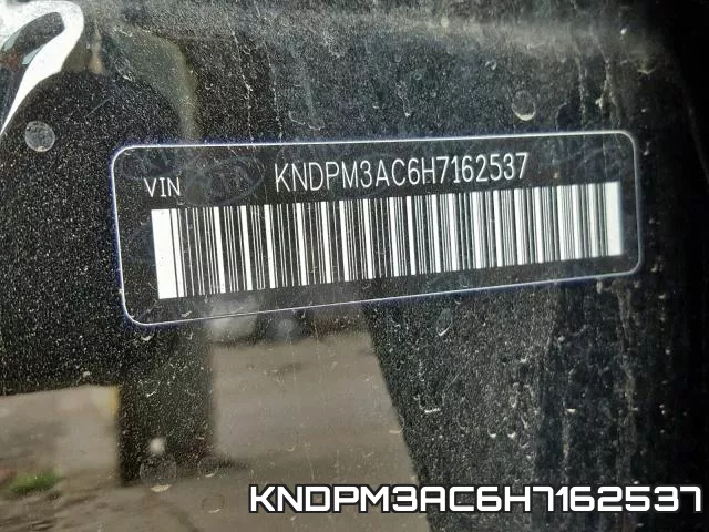 KNDPM3AC6H7162537_10.webp